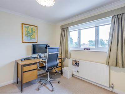 Picture 23
